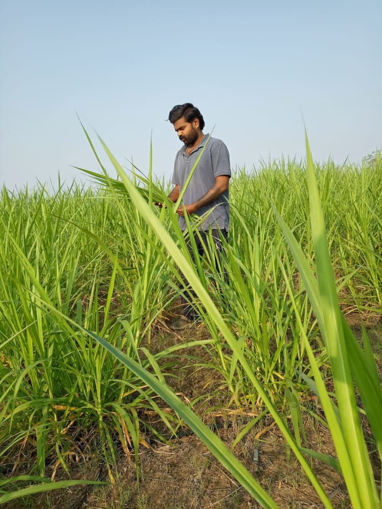 shivaramakrishnachary